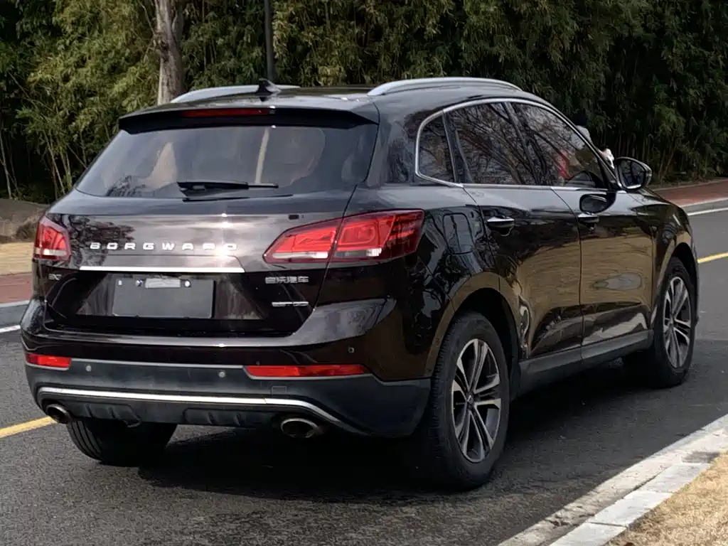 Borgward BX7 — миниатюра 5