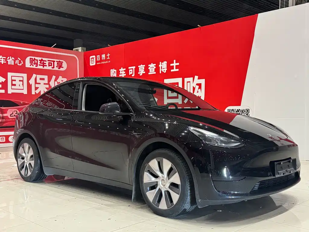 Tesla Model Y — миниатюра 3