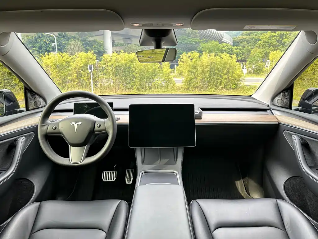 Tesla Model Y — миниатюра 13