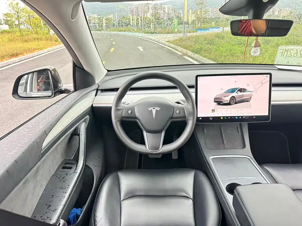 Tesla Model Y — миниатюра 16