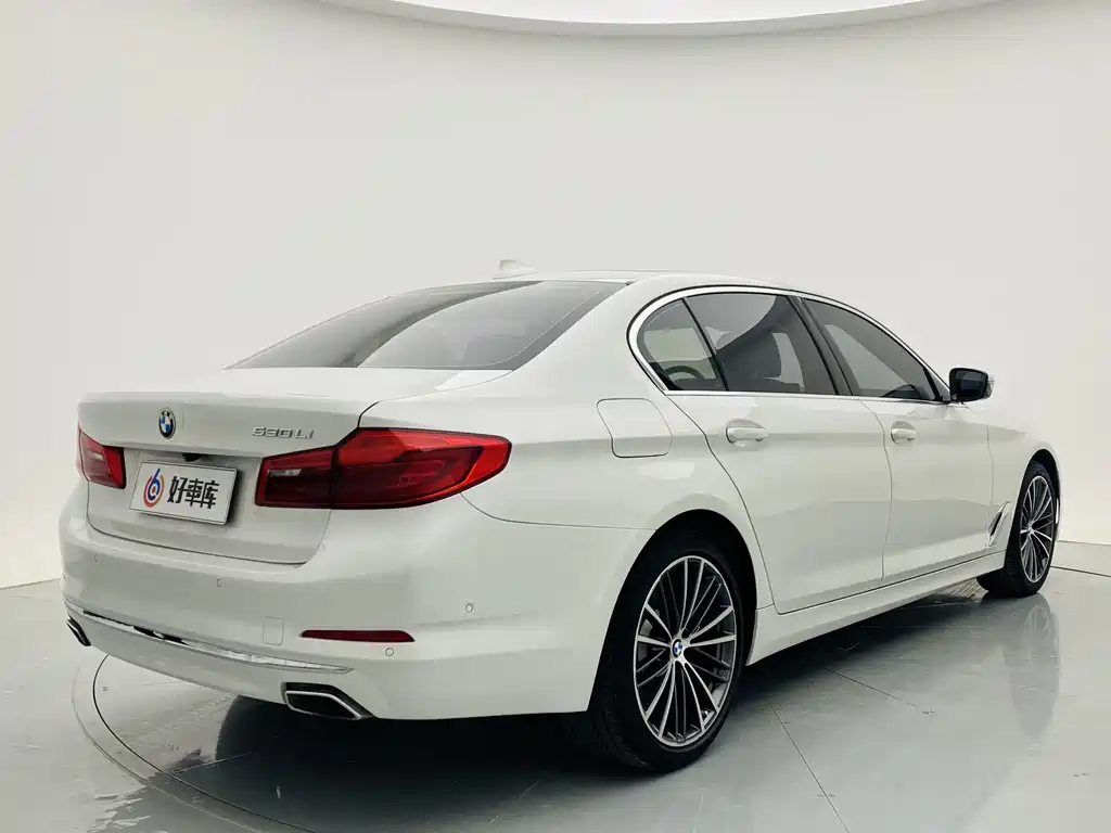 BMW 5 Series 5 2020 530Li Premium Luxury