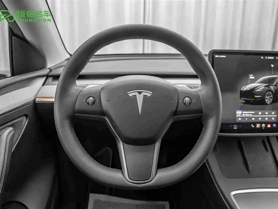 Tesla Model Y — миниатюра 17