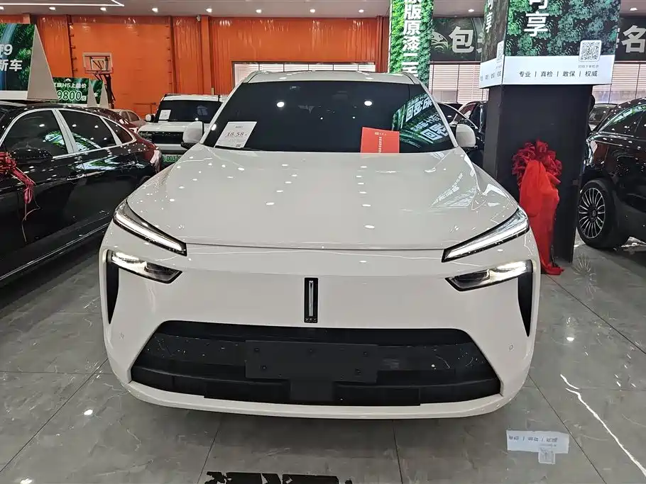 WEI PAI WEI BRAND BLUE MOUNTAIN