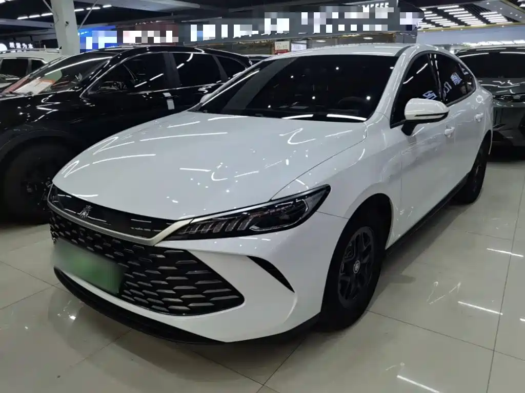 BYD Qin Plus PLUS 2025 DM-i Smart Drive 55KM Lead