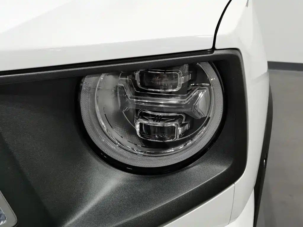 Haval Big Dog PLUS — миниатюра 7