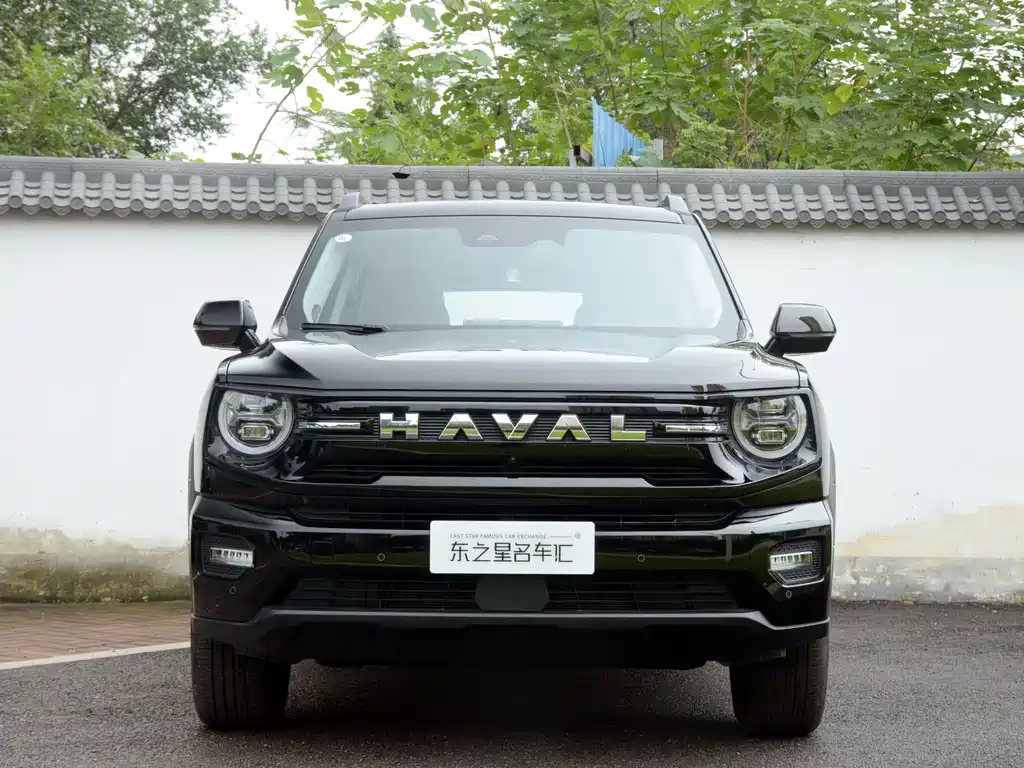 Haval Big Dog PLUS — миниатюра 2