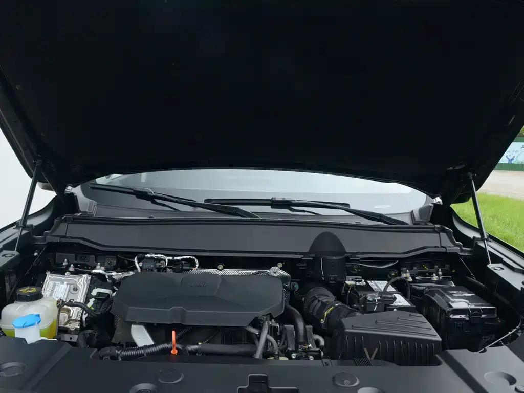Haval Big Dog PLUS — миниатюра 4