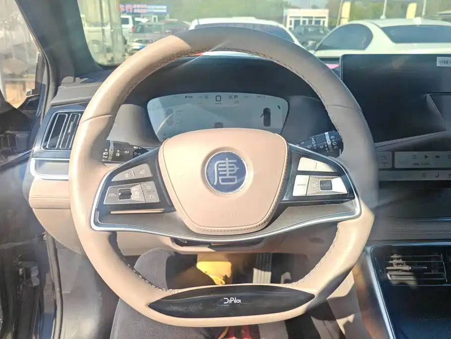 BYD Tang New Energy — миниатюра 15