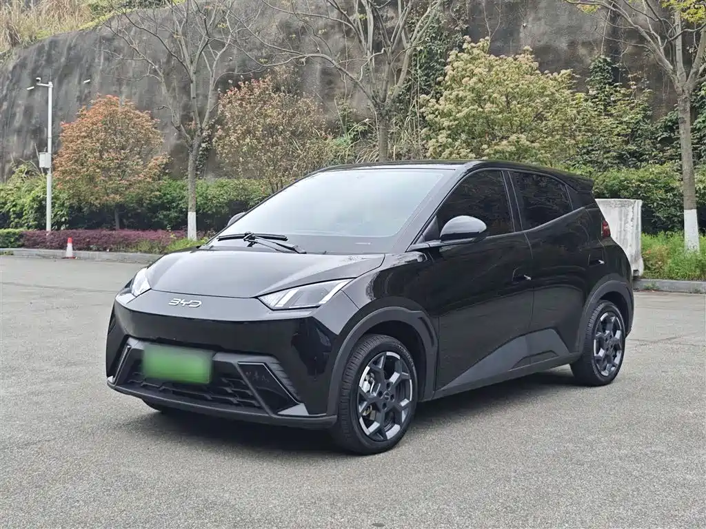 Byd Seagull 2024