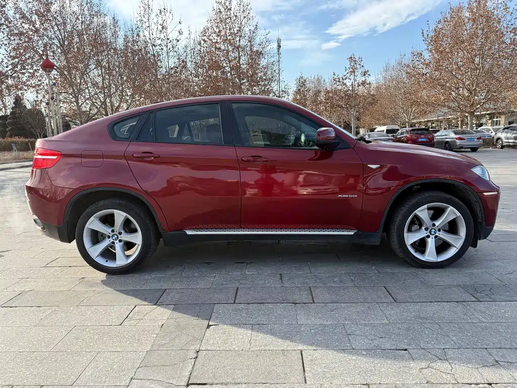BMW X6 — миниатюра 8
