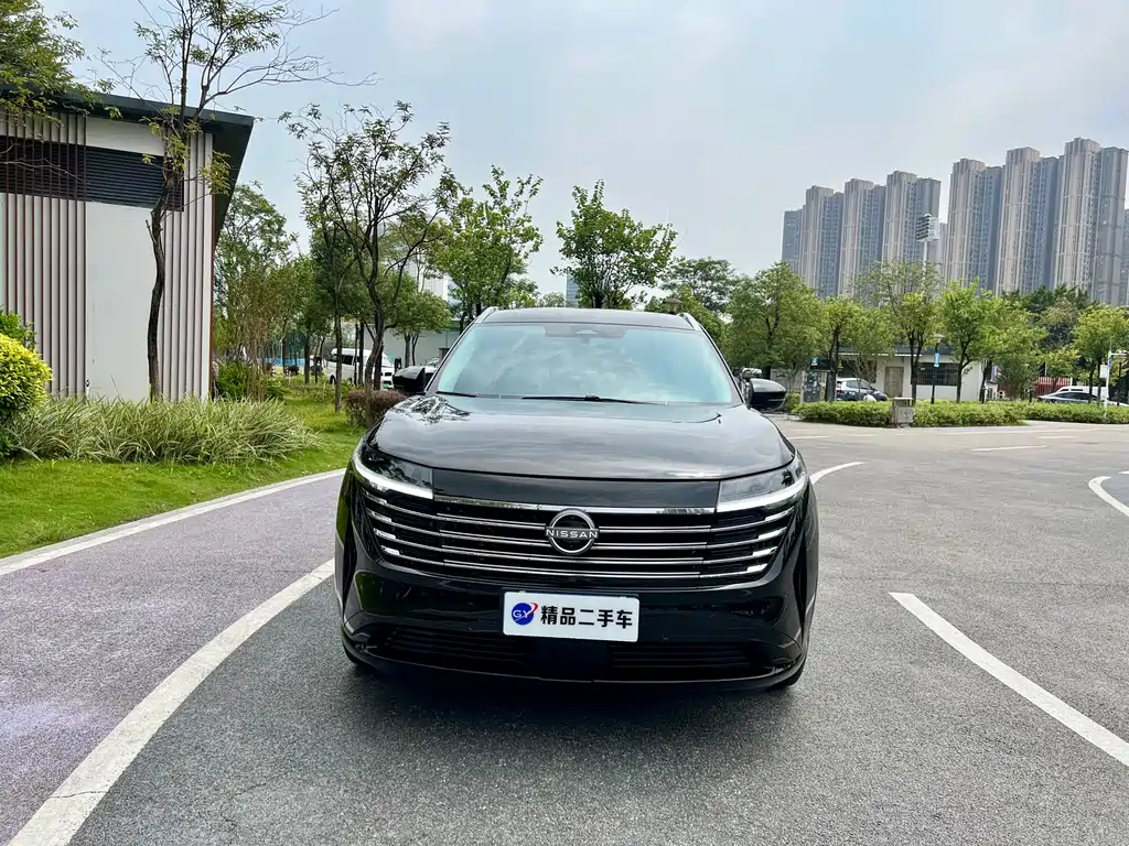 Nissan Teramont — миниатюра 2