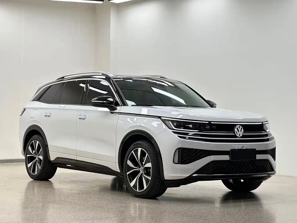 Volkswagen Tavendor — миниатюра 3