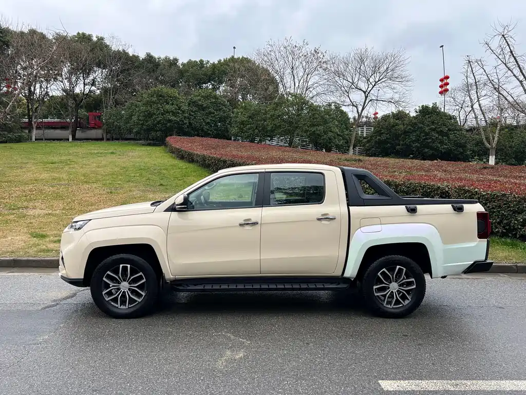 JIANGLING DOMAIN TIGER 9