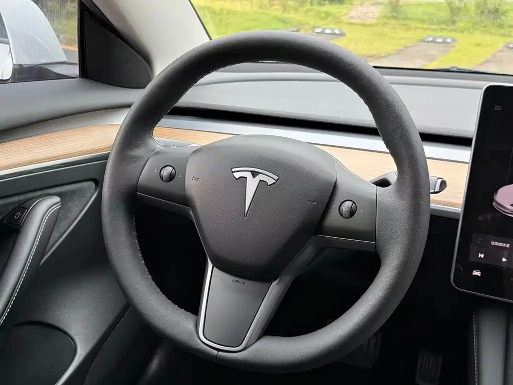 Tesla Model 3 — миниатюра 6