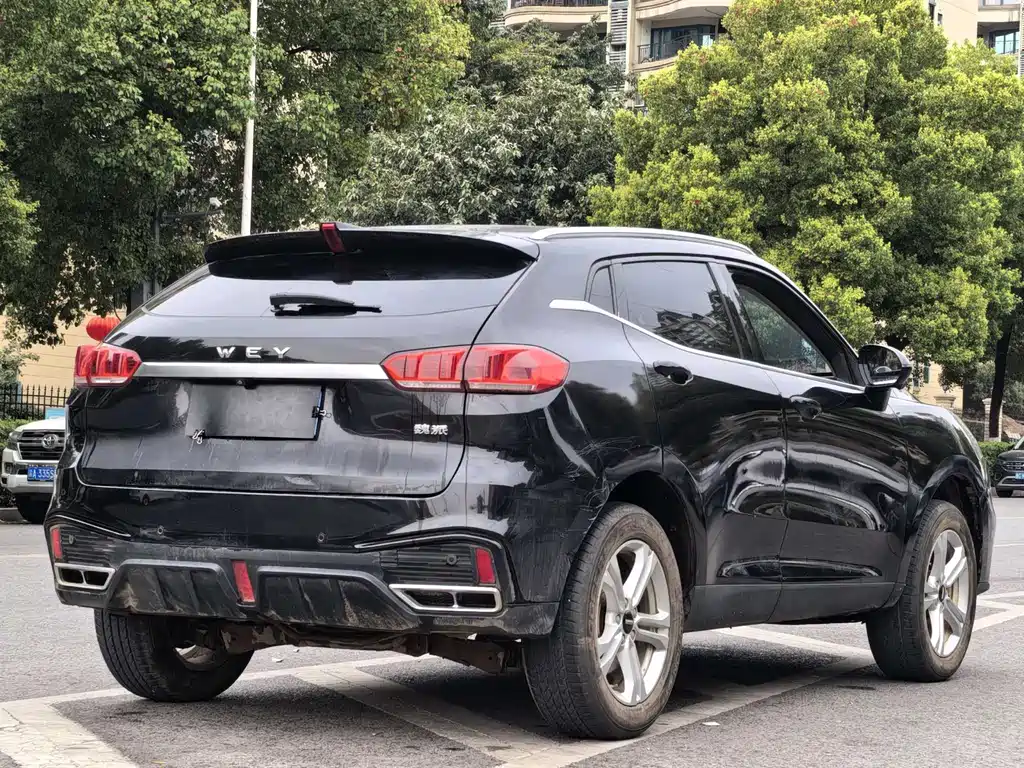 WEI PAI WEI BRAND VV5