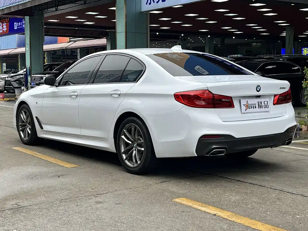 BMW 5 SERIES