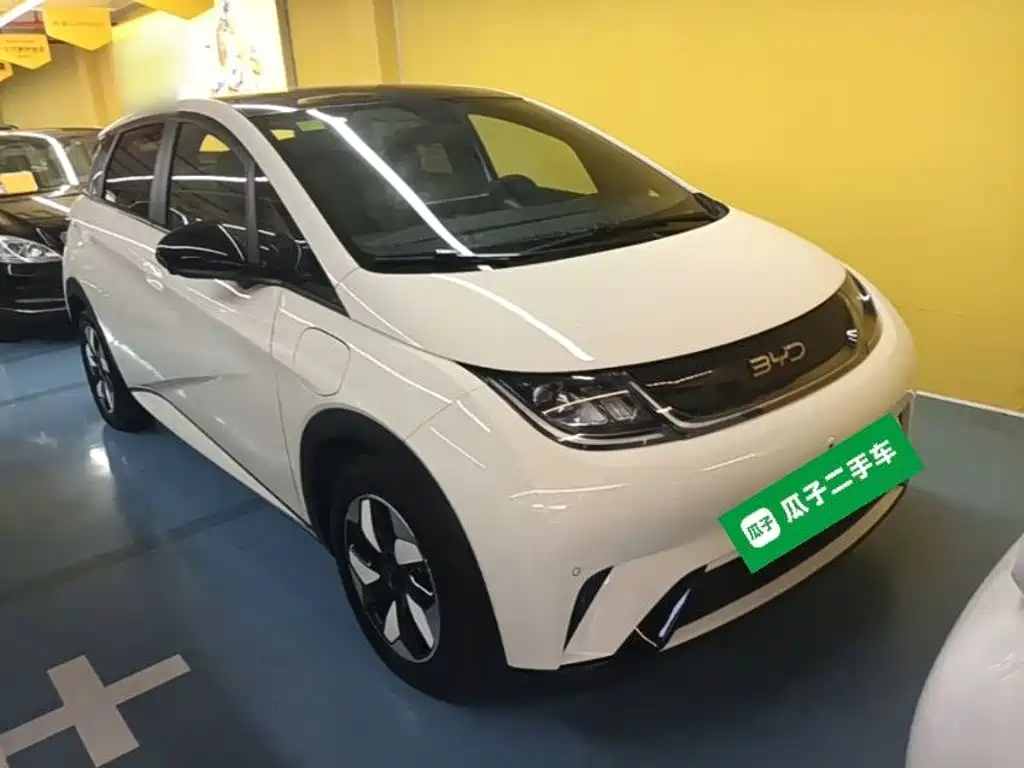 BYD Dolphin — миниатюра 4