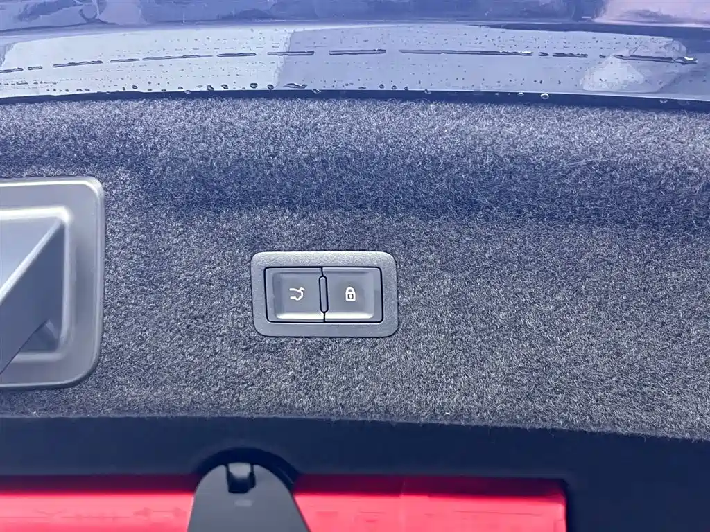 Hongqi H9 2024 2.0T