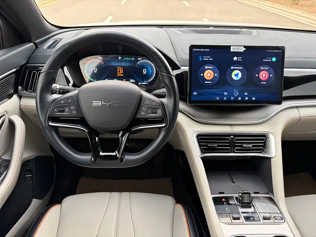 BYD PLUS New Energy — миниатюра 8