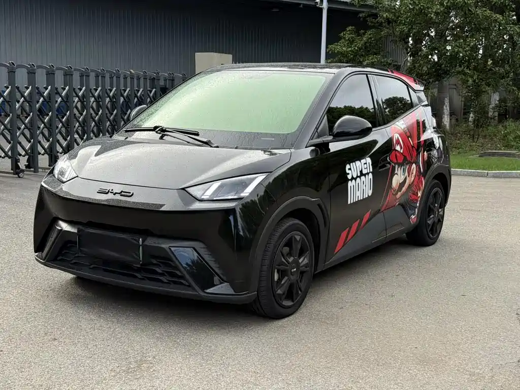 BYD Seagull