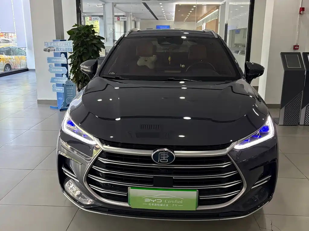 BYD Tang New Energy — миниатюра 2