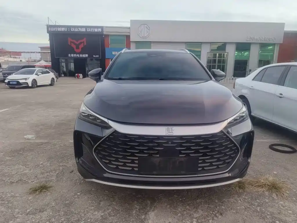 BYD Tang New Energy — миниатюра 2