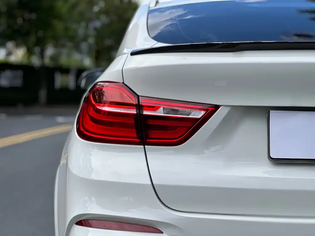 BMW X4 — миниатюра 10