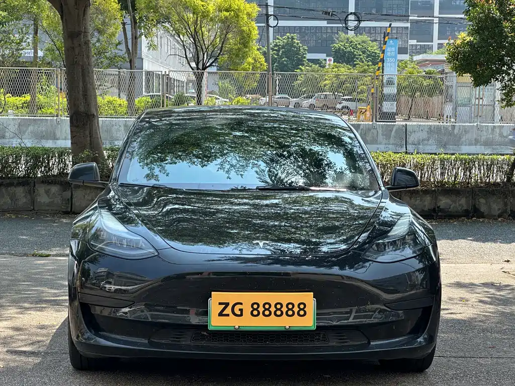Tesla Model 3 — миниатюра 2