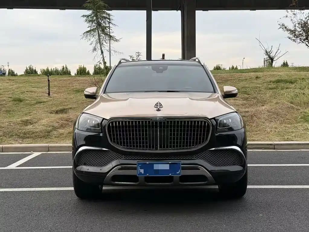 Mercedes-Benz GLS — миниатюра 2