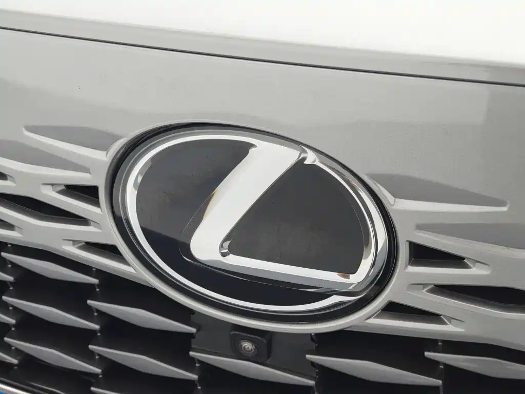 Lexus RX — миниатюра 17
