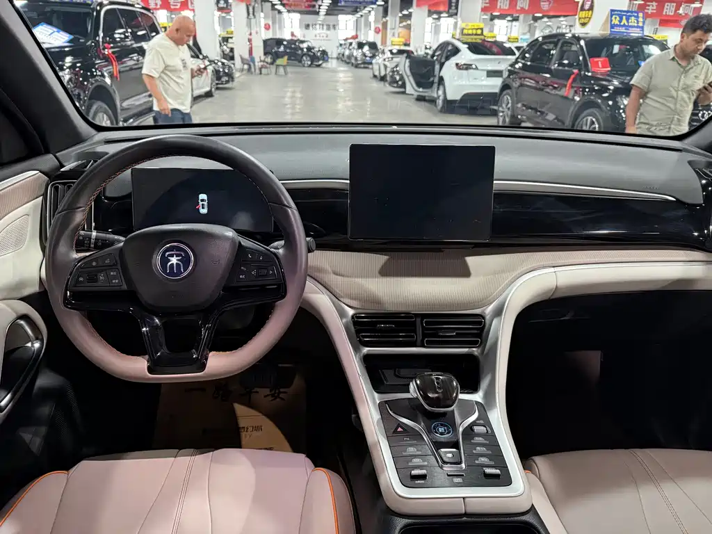 BYD Pro New Energy - фото 7