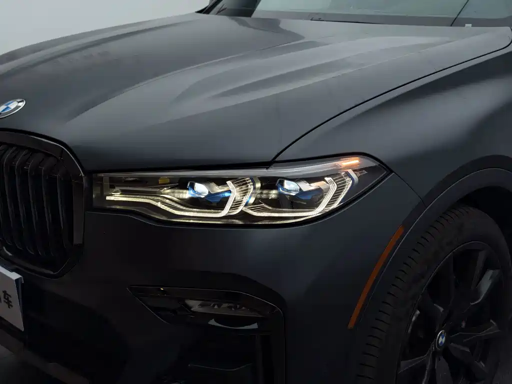 BMW X7 — миниатюра 7