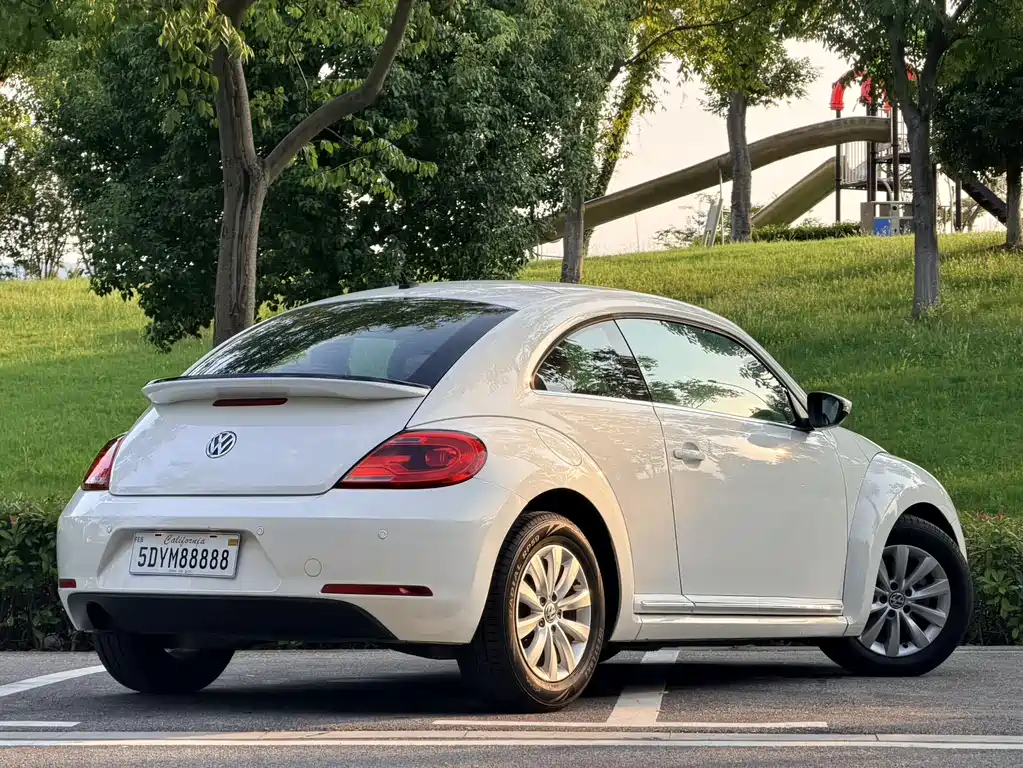Volkswagen Beetle — миниатюра 23