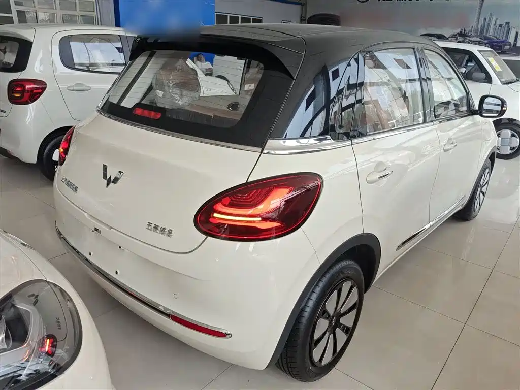 Wuling Binguo 2025 333km Enjoy