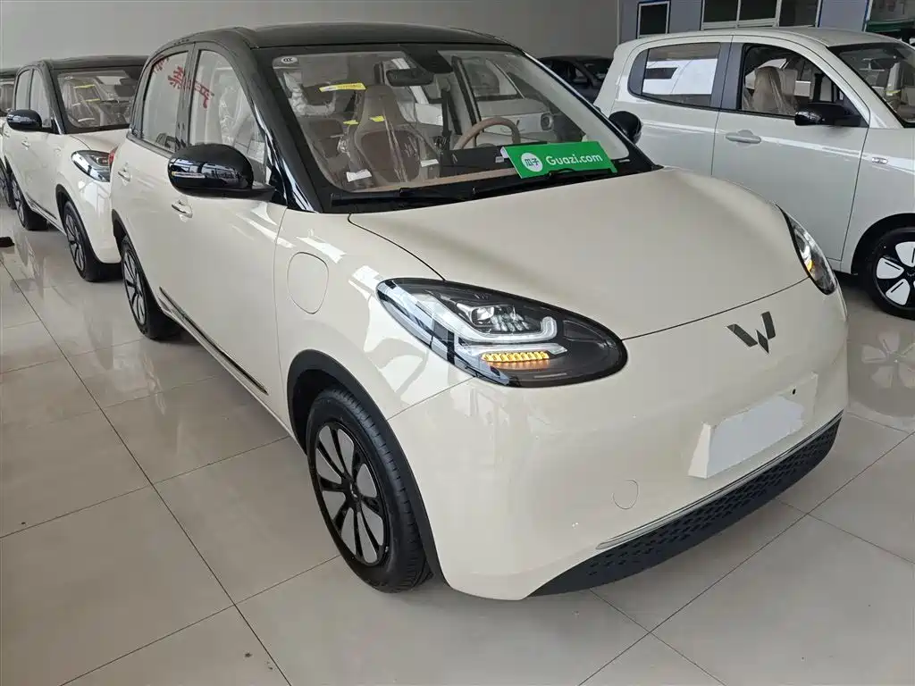 Wuling Binguo 2025 333km Enjoy