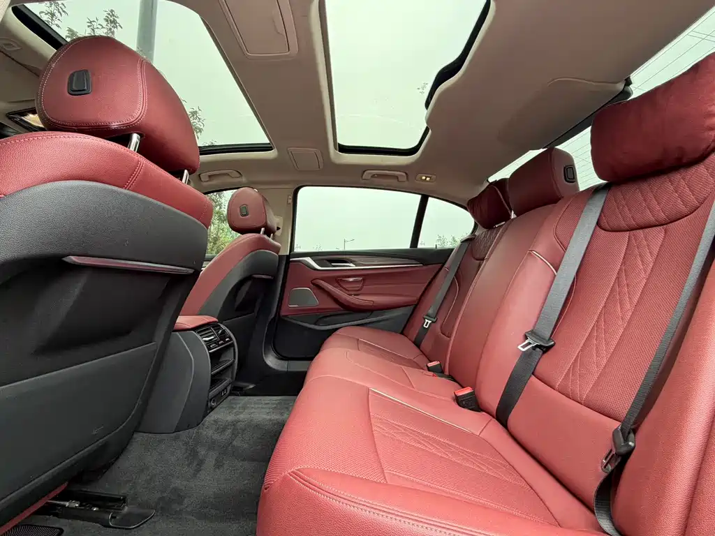 BMW 5 Series 5 2023 530Li Lead Luxury