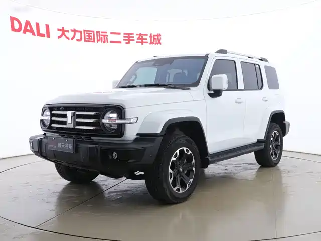 TANK TANK 300 NEW ENERGY 2025