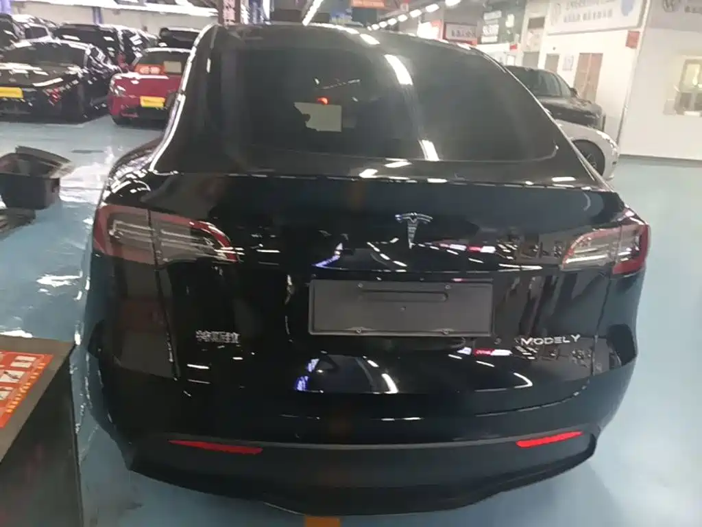 Tesla Model Y — миниатюра 6
