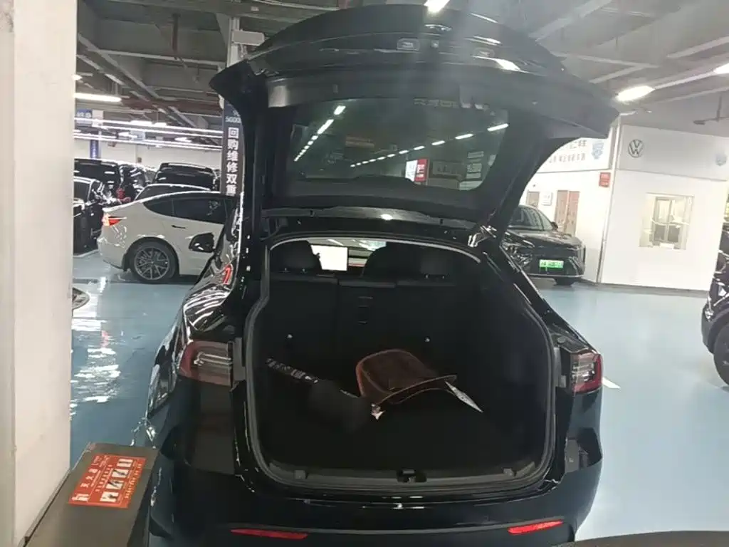 Tesla Model Y — миниатюра 19