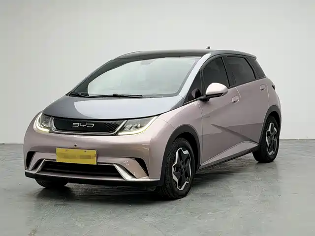 2022 BYD Dolphin
