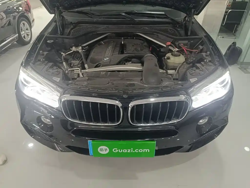 BMW X5 (Import) — миниатюра 20