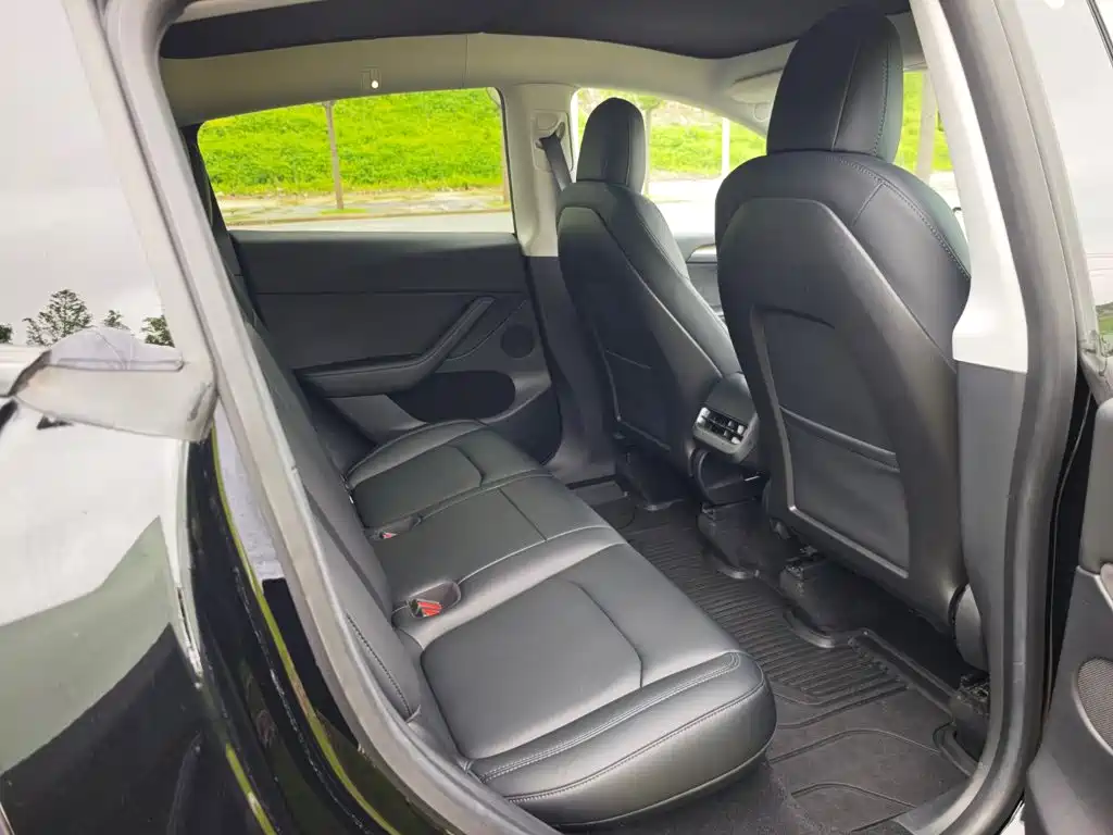 Tesla Model Y — миниатюра 10