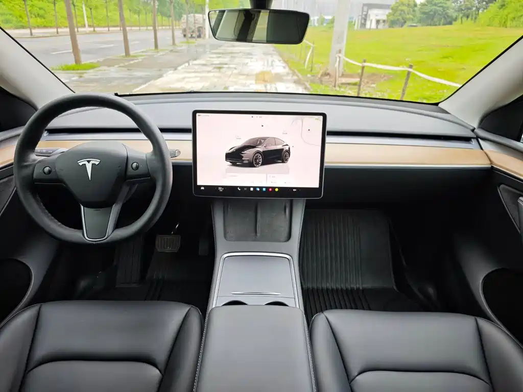 Tesla Model Y — миниатюра 11