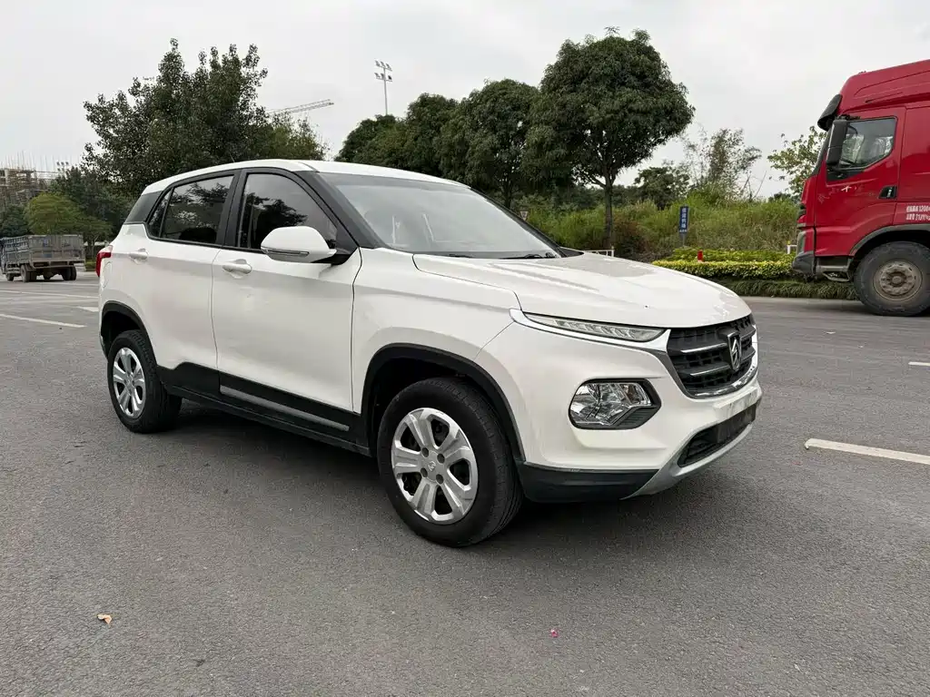 BAOJUN 510