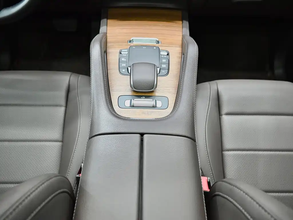 Mercedes-Benz GLE New Energy — миниатюра 10