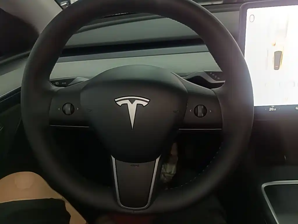 Tesla Model Y — миниатюра 11