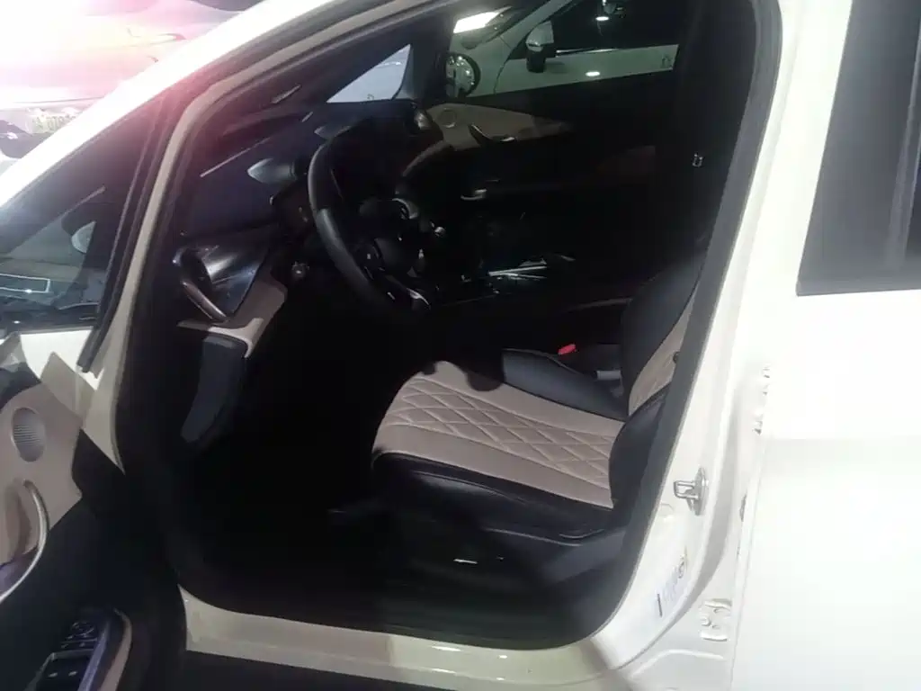 BYD Dolphin — миниатюра 15