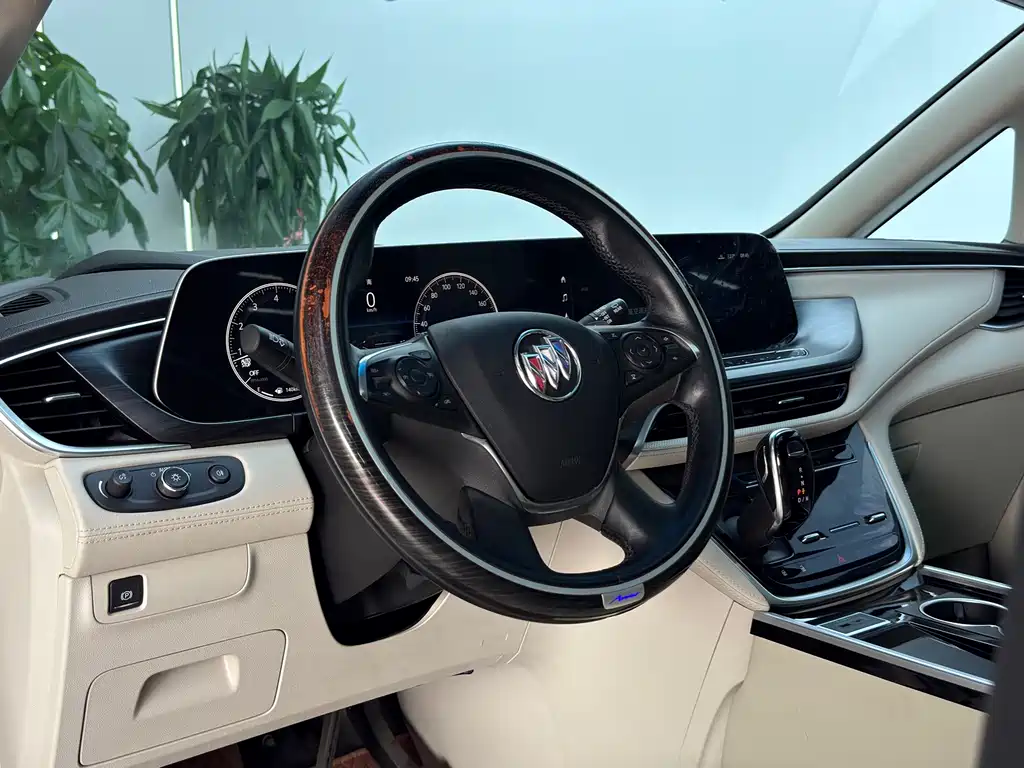 Buick GL8 — миниатюра 10