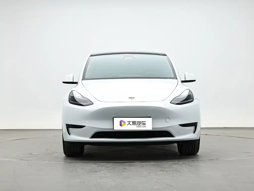 Tesla Model Y — миниатюра 2
