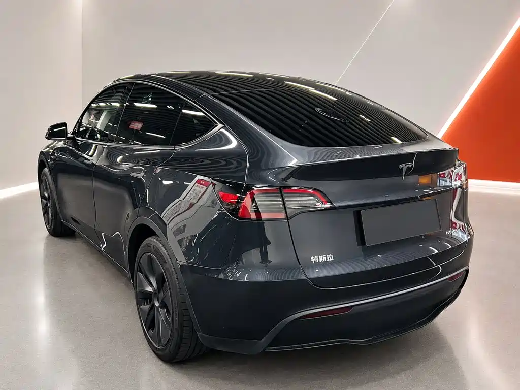 Tesla Model Y — миниатюра 6